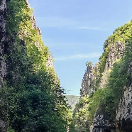 Pensjonat Juzni Vetar 3*