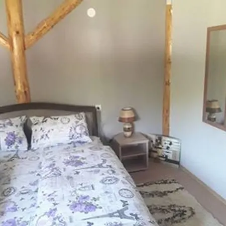 Juzni Vetar Guest house Trnski Odorovci