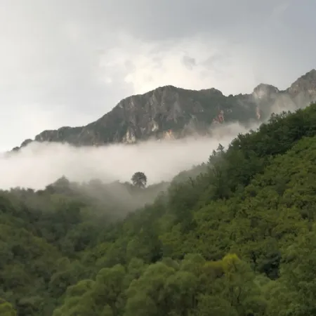 Juzni Vetar Gasthof 3*