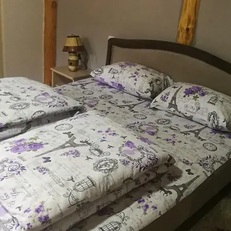 Guest house Juzni Vetar 3*