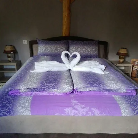 Guest house Juzni Vetar Trnski Odorovci