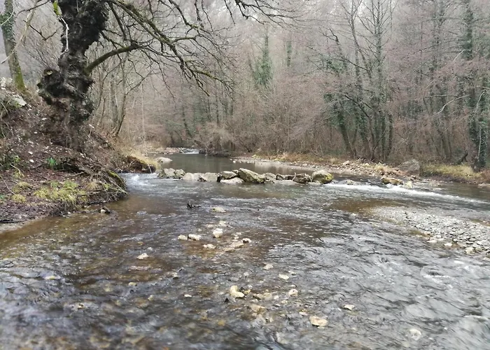Juzni Vetar Гостевой дом Trnski Odorovci