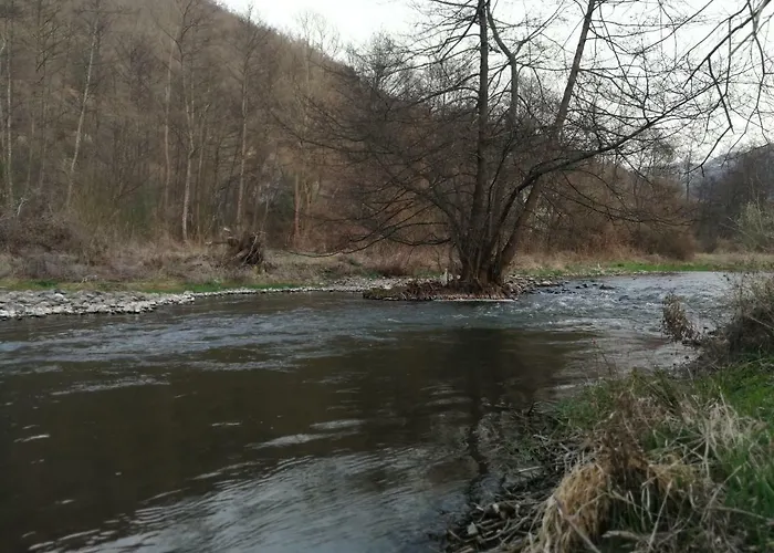 Juzni Vetar Trnski Odorovci
